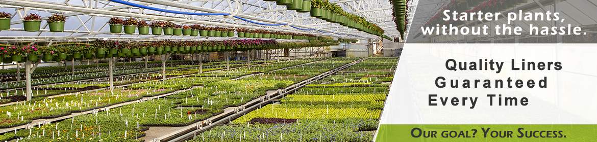 Starter Plants Without the Hassle. Quality Liners, Guaranteed.