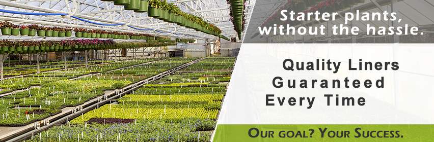 Starter Plants Without the Hassle. Quality Liners, Guaranteed.