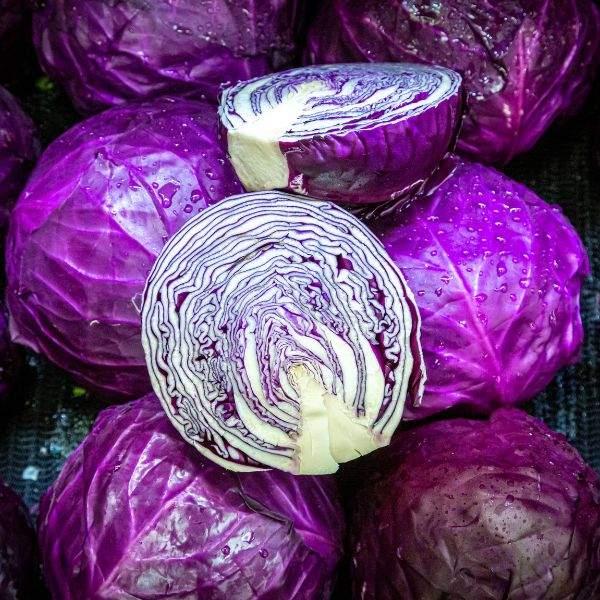 Image Of Cabbage Red Acre