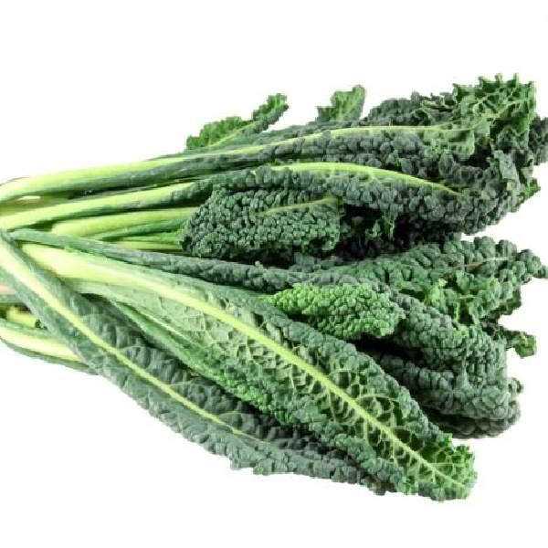 Image Of Kale Toscano (Dinosaur)