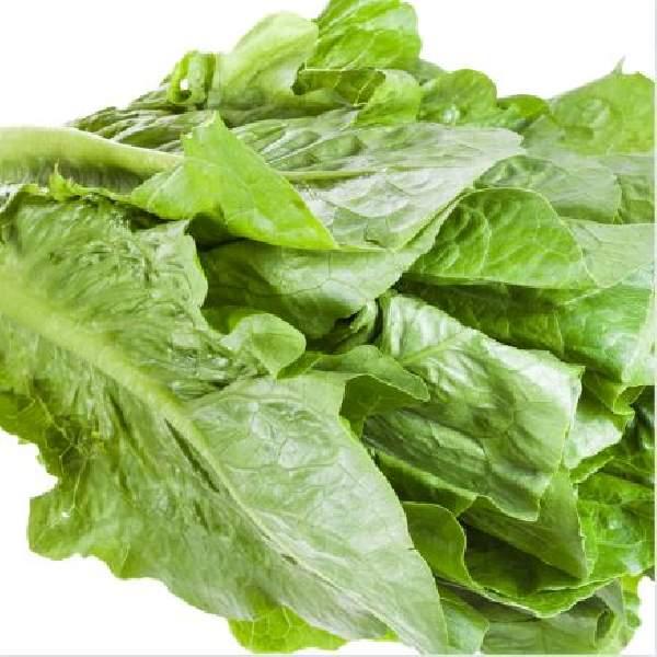 Lettuce King Pin