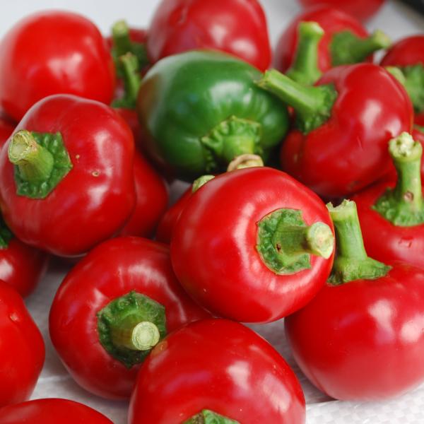 Image Of PEPPER CAYENNE LARGE RED