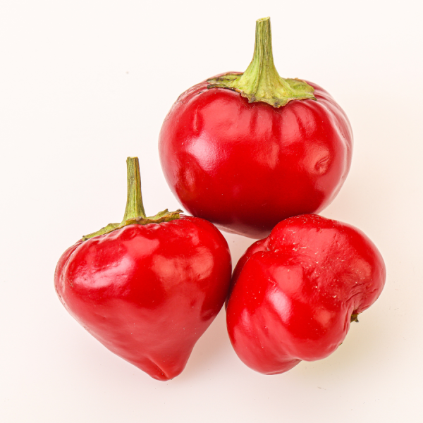 PEPPER RED CHERRY LARGE HOT