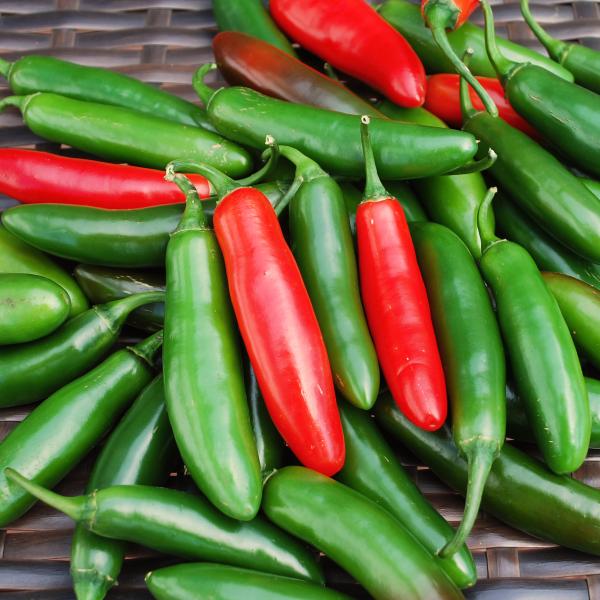 Pepper Serrano Tampiqueno