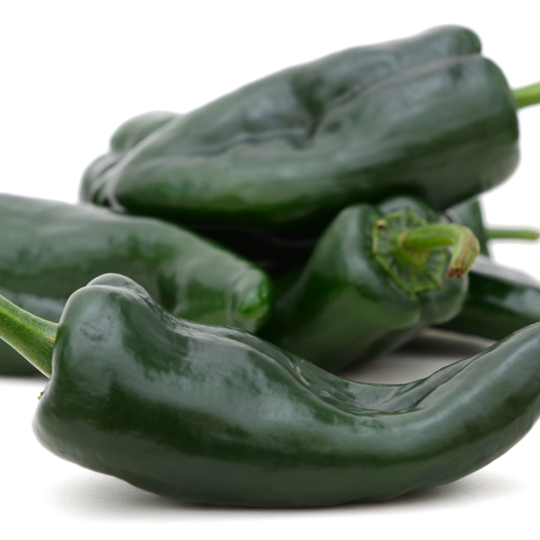 Pepper Poblano