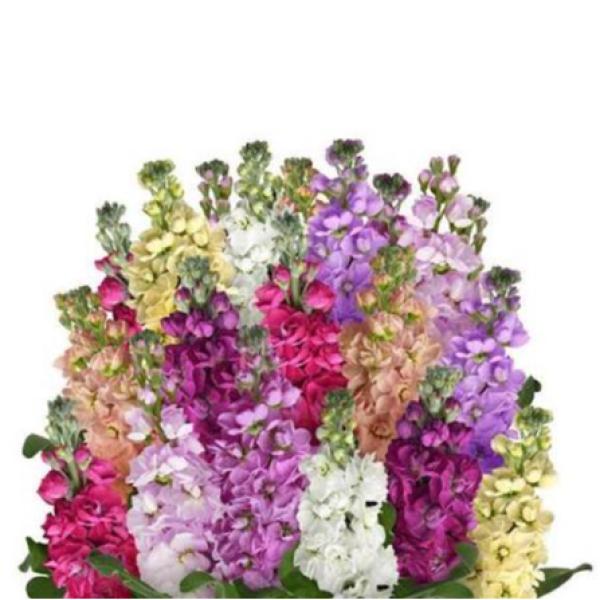 Image Of Stock Column Formula Mix