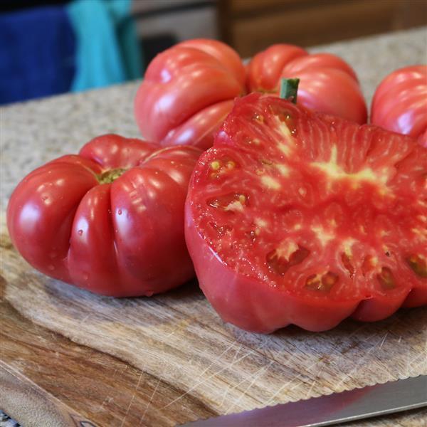 TOMATO DELICIOUS