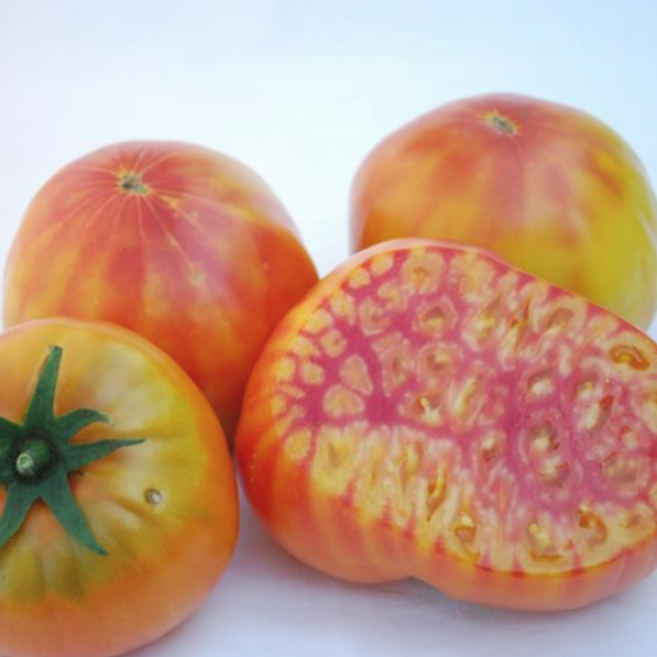 TOMATO MR STRIPEY BEEFSTAKE