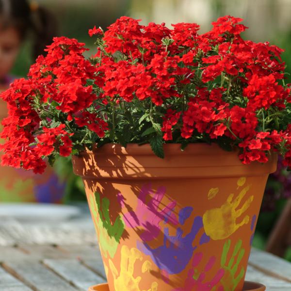 Verbena-Quartz-XP-Scarlet-1790963844.jpg