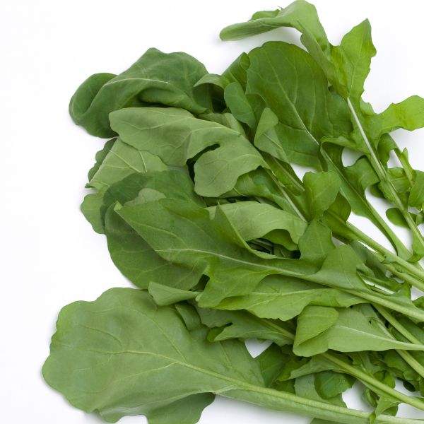 Arugula