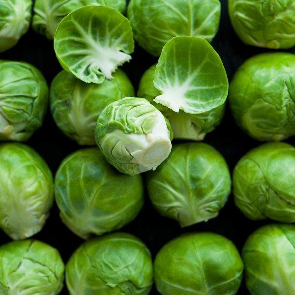 Brussel Sprout