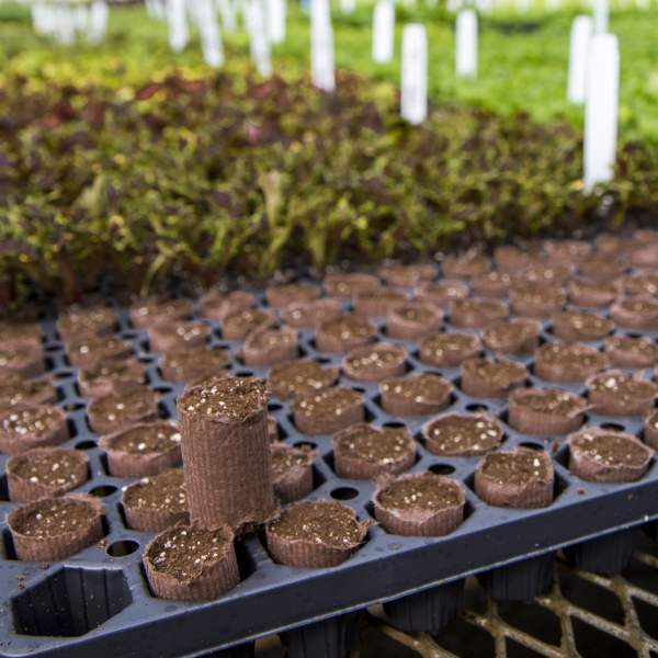 Ellepots 105 Tray