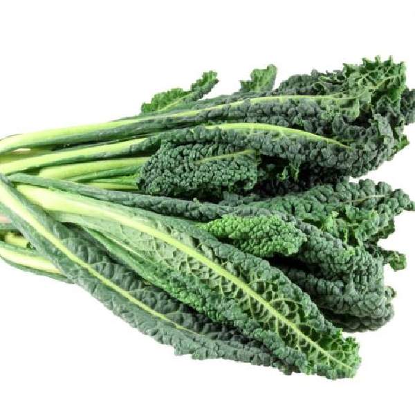 Kale Toscano (Dinosaur)