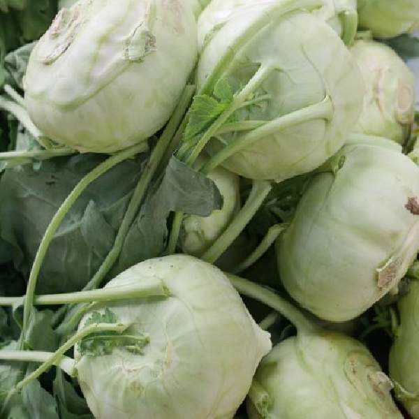 Kohlrabi