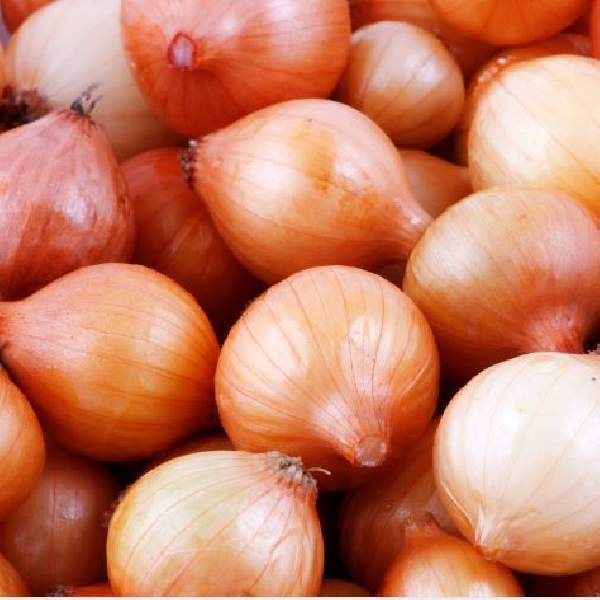 Onion