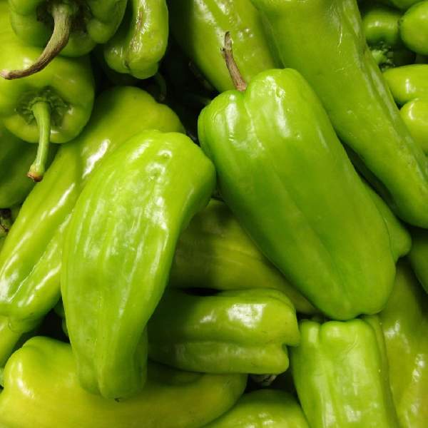 PEPPER CUBANELLE