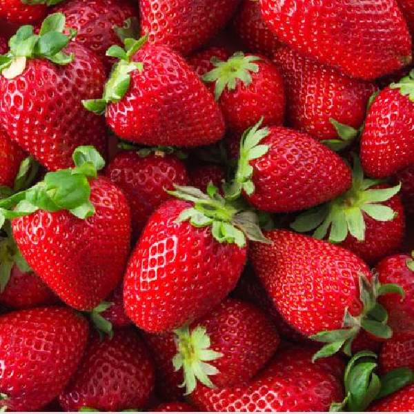 Fruit