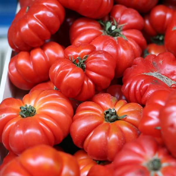 TOMATO BEEFSTAKE
